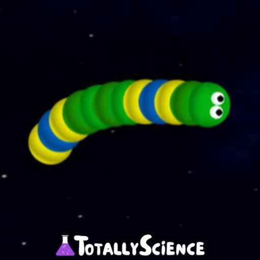 Kids Games Unblocked Totally Science