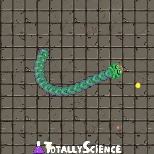 Snake Wars Play Unblocked