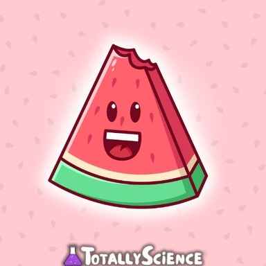 FreezeNova Watermelon Game