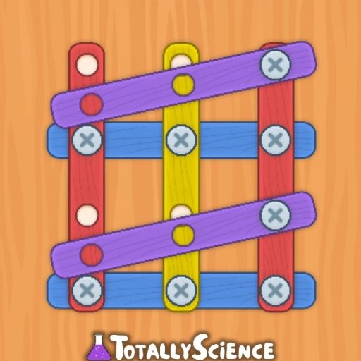 Nuts and Bolts Puzzle Play Unblocked