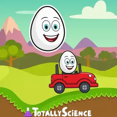 FreezeNova Egg Car Racing
